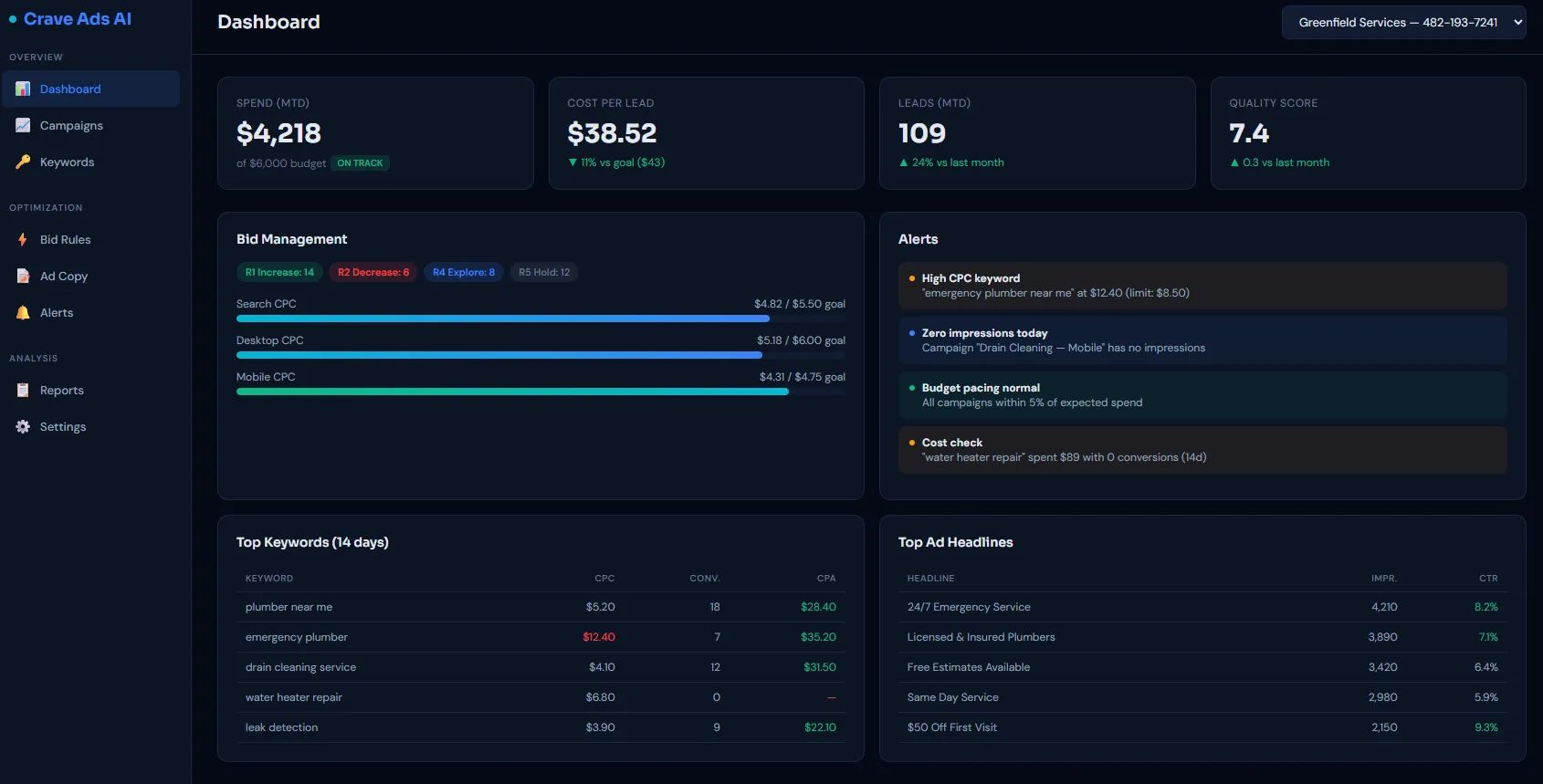 Google Ads monitoring dashboard with bid management